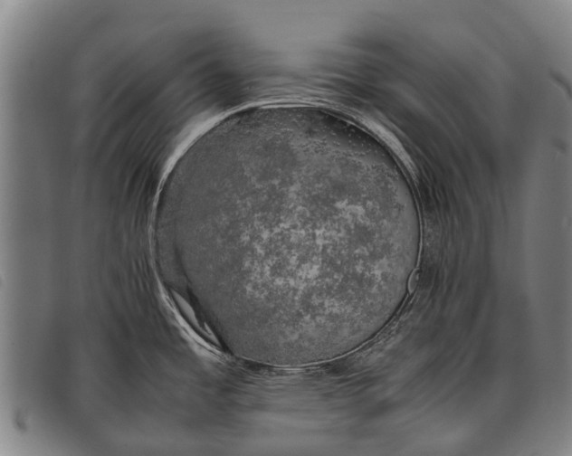 X0000097861485200804041518