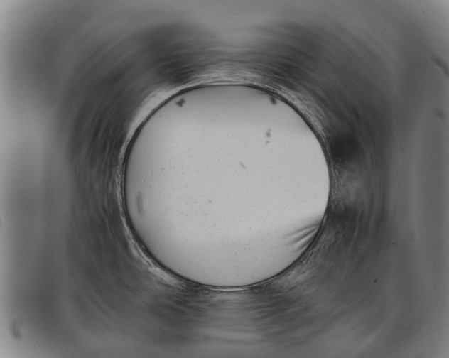 X0000097861486200804041518