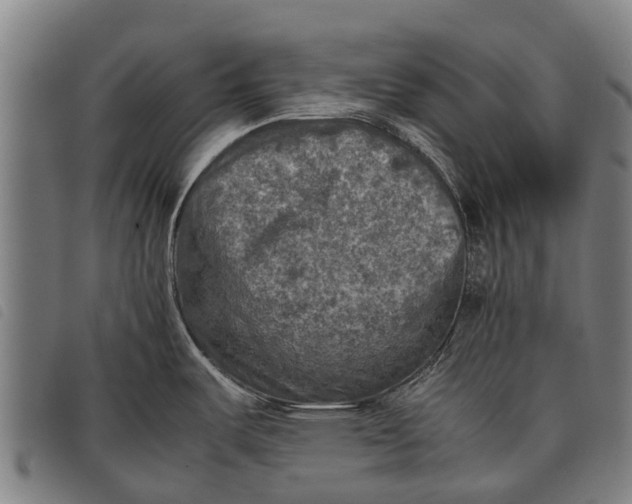 X0000097861487200804041518