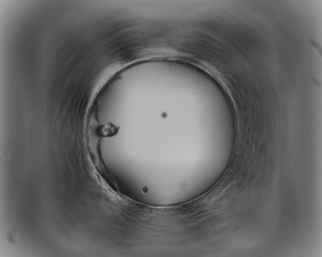 X0000097861488200804041518