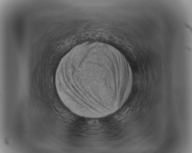 X0000097861489200804041517