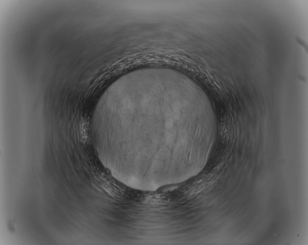 X0000097861490200804041517