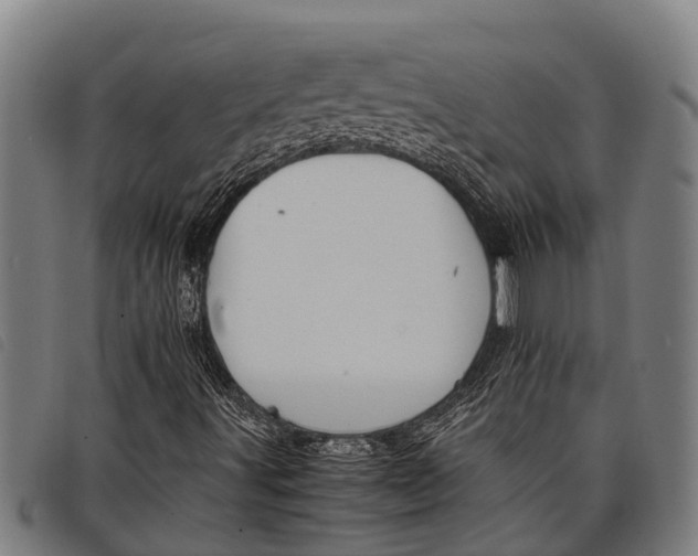 X0000097861491200804041517