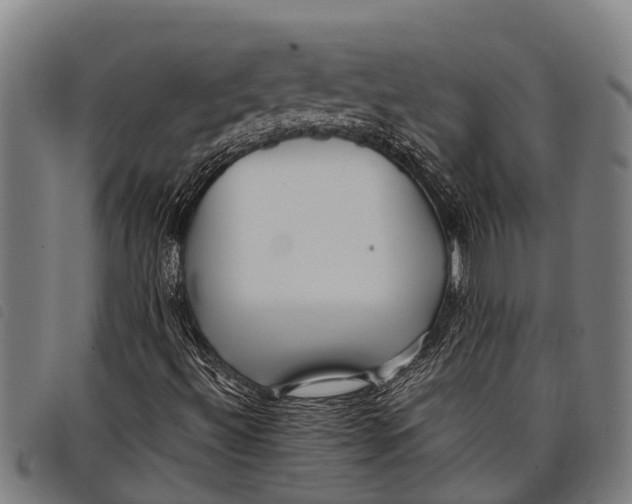 X0000097861492200804041517