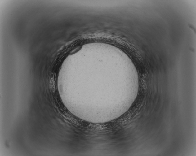 X0000097861493200804041517