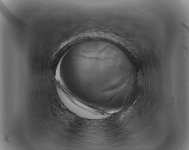 X0000097861494200804041517