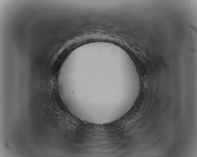 X0000097861495200804041517