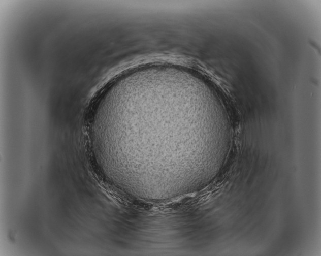 X0000097861496200804041517