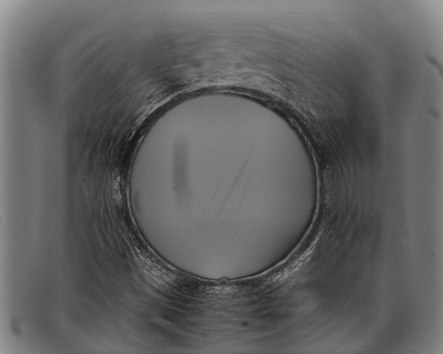 X0000097861497200804041517