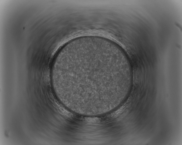 X0000097861498200804041517