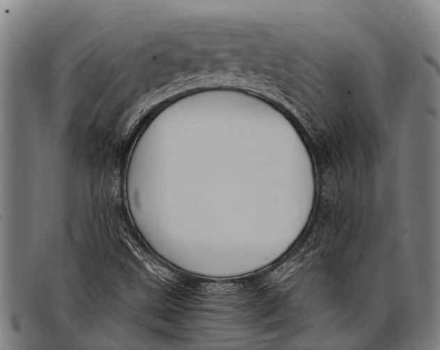 X0000097861499200804041517