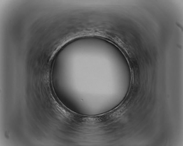 X0000097861500200804041517