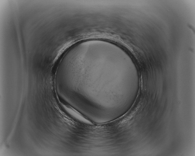 X0000097861501200804041517