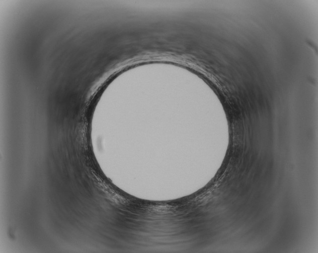 X0000097861502200804041517