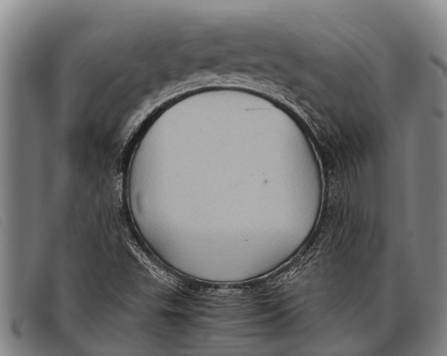 X0000097861503200804041517