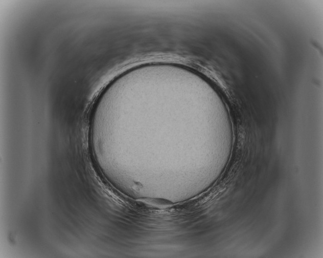 X0000097861504200804041517