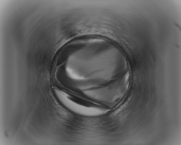 X0000097861505200804041517