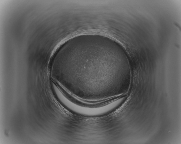 X0000097861506200804041517