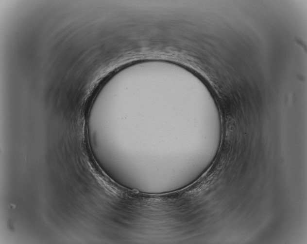 X0000097861507200804041517