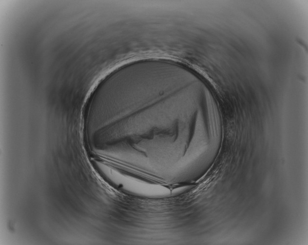 X0000097861508200804041517