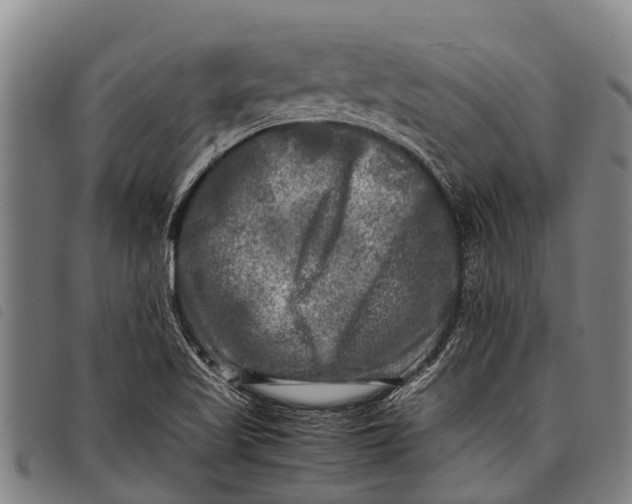 X0000097861509200804041517