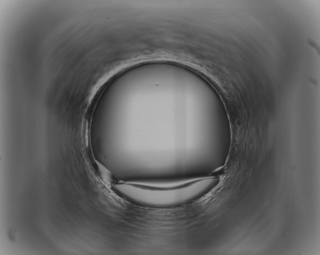 X0000097861510200804041517