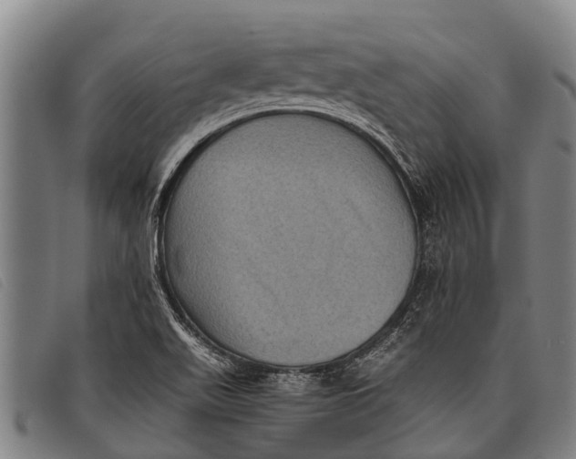 X0000097861511200804041517