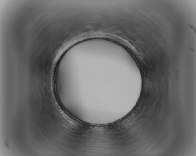 X0000097861512200804041517