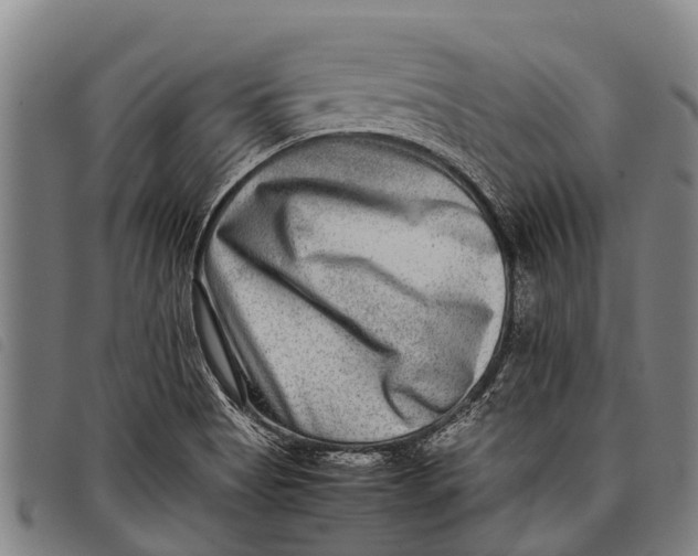 X0000097861513200804041517