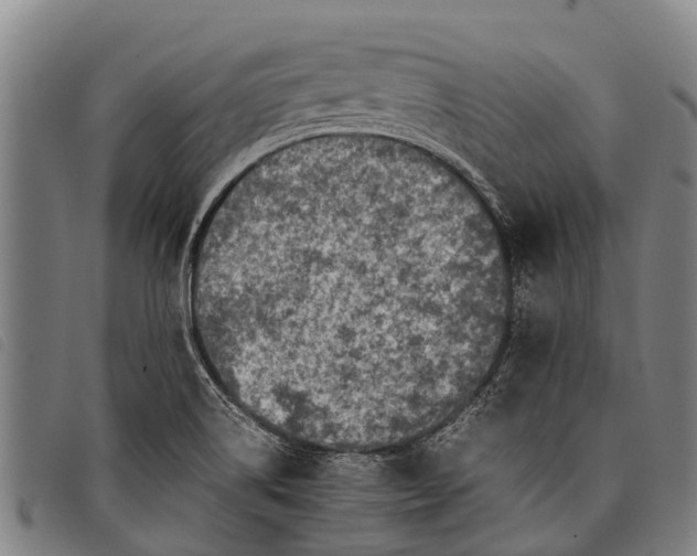 X0000097861514200804041517