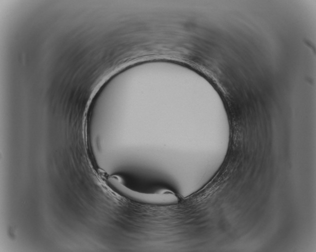 X0000097861516200804041517