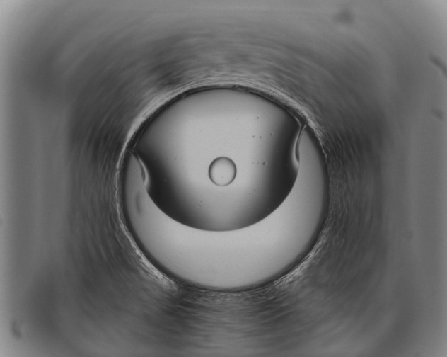 X0000097861517200804041517