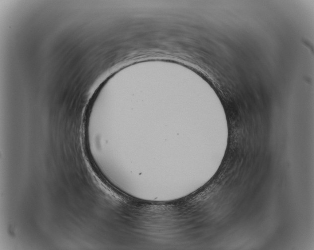 X0000097861518200804041517