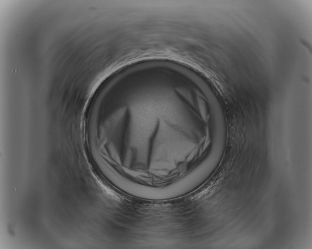 X0000097861519200804041517