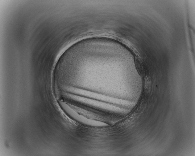 X0000097861520200804041517