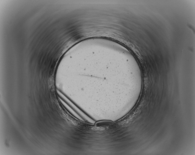 X0000097861521200804041517