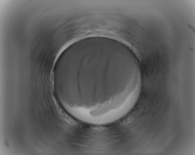 X0000097861522200804041517