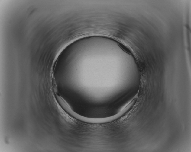 X0000097861524200804041517