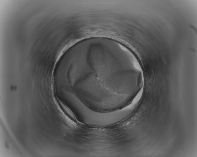 X0000097861525200804041517