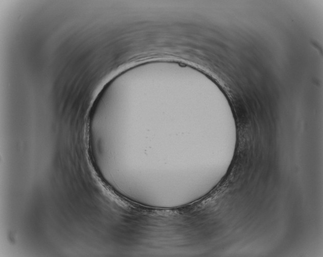 X0000097861526200804041517