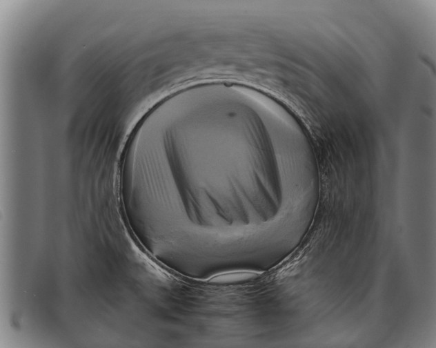 X0000097861527200804041517