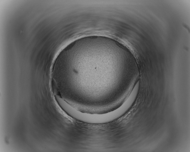 X0000097861528200804041517