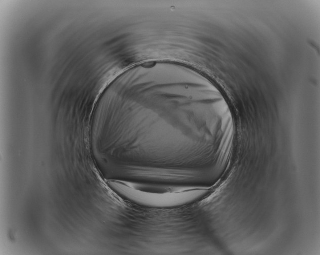 X0000097861529200804041517