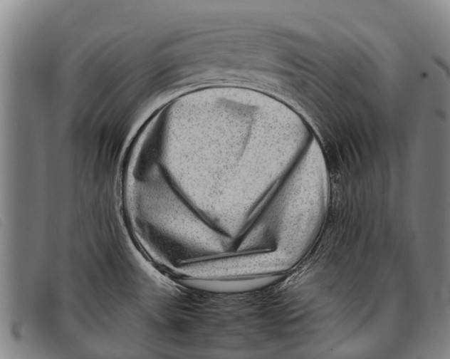 X0000097861531200804041517