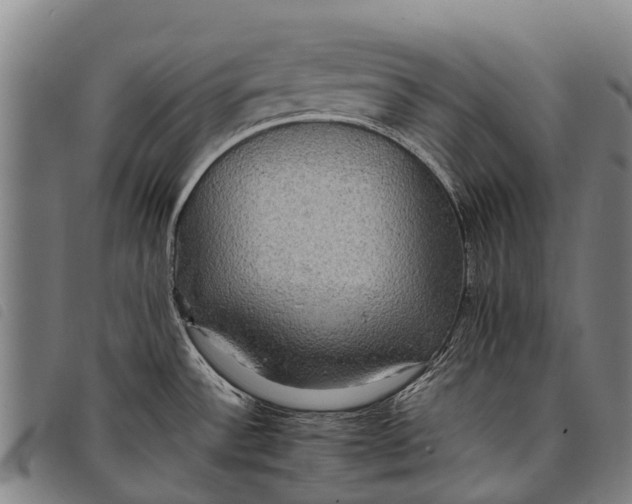 X0000097861532200804041517