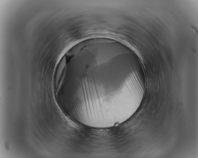 X0000097861533200804041518