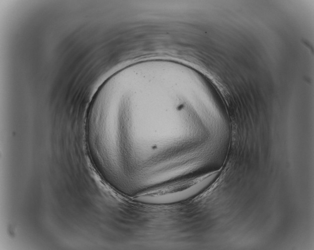 X0000097861534200804041518