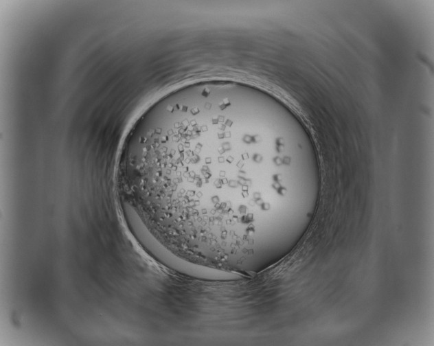 X0000097861536200804041518