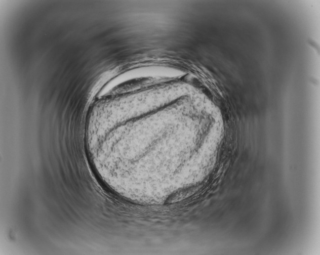 X0000097860003200804111205