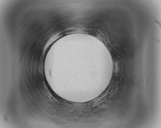 X0000097860004200804111205